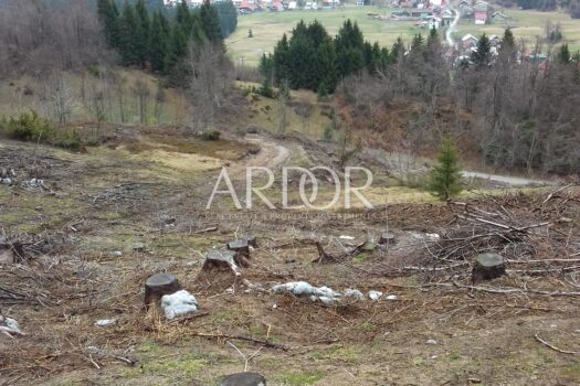 1684409385 thumbnail kosa 5