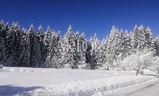Grundstück Sunger, Mrkopalj, 18.000m2 1684409931 preuzmi 1