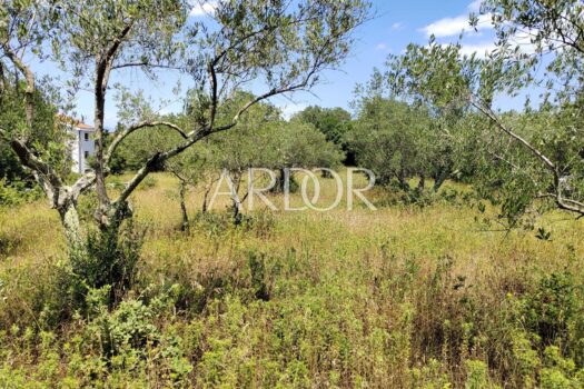 Grundstück Bogovići, Malinska-Dubašnica, 3.000m2 1688975066 img 20230707 133737