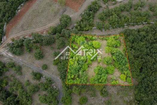 1692189588 zemljiste 1 psps