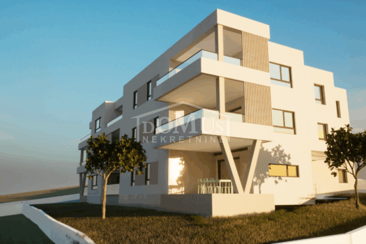 1693313339 animation2