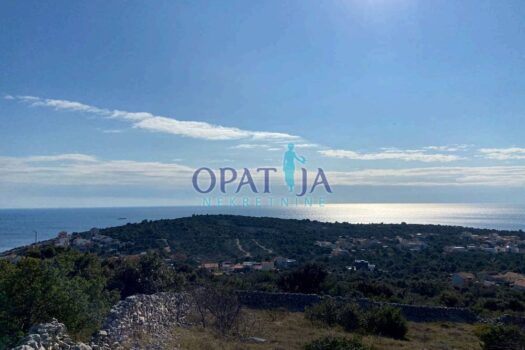 1696656058 kanica1 michael s