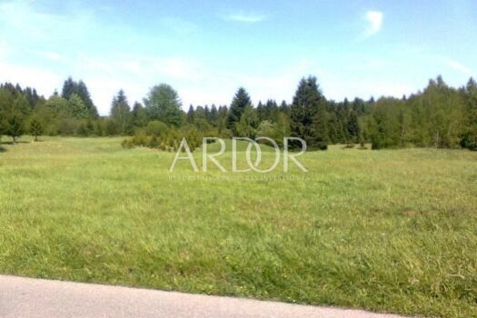 1697627470 poljoprivredno zemljiste ravna gora 4300 m2 slika 13756827