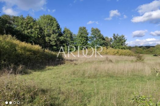 Grundstück Barban, 4.290m2 1698140945 whatsapp slika 2023 10 24 u 11