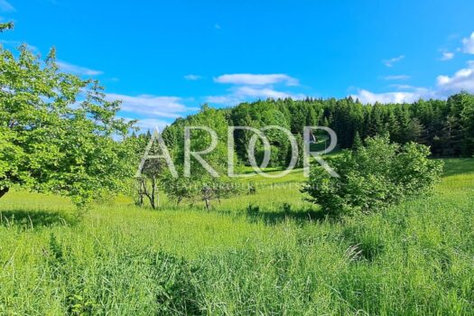 Grundstück Jablan, Vrbovsko, 17.000m2 1705579077 20230607 181521