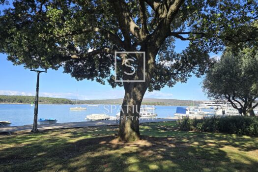 1710413137 20240313 105126