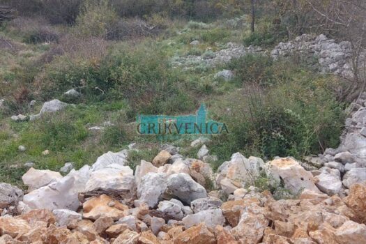 Lands Novi Vinodolski, 505m2 1712744427 img 20240410 wa0006