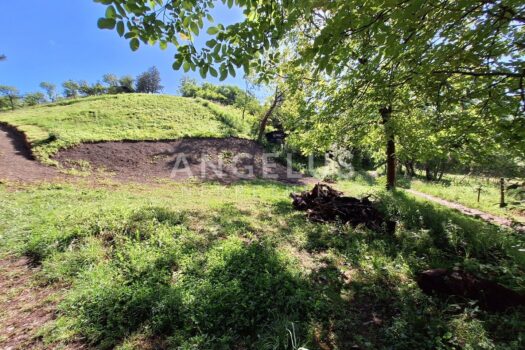 1716279087 20240517 094835