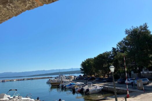 1721062316 263685185