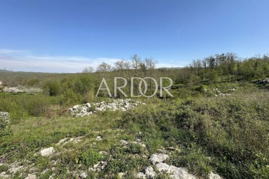 1721203844 img 8875 1