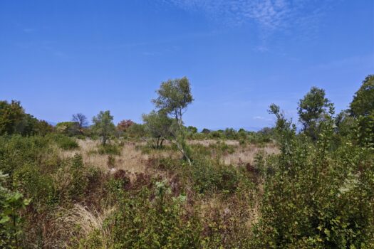 1723920252 img 20240816 123011