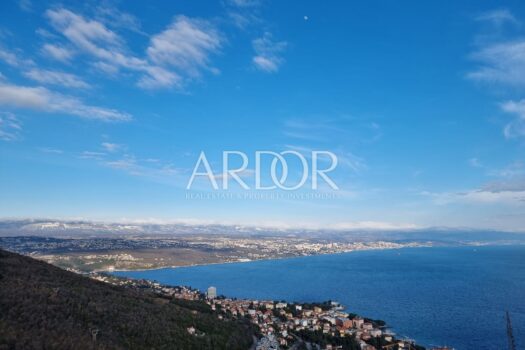 1724934096 1000006036 2