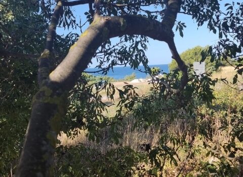 1725952851 thumb 1653269495 1831855022 300940 5