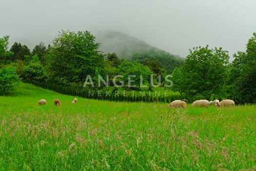 1726817944 img 20240913 wa0008