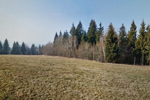 1727538286 20240928 174130