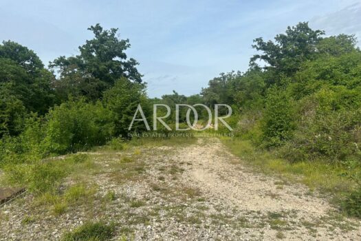 1731410958 whatsapp slika 2024 11 12 u 12