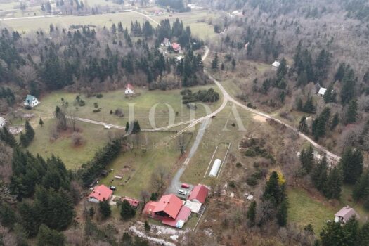 1731946220 img 20241117 wa0039