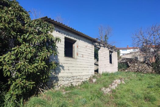 1732792967 1000016086