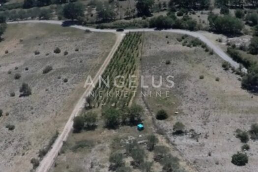 1733219518 img 20241106 wa0016