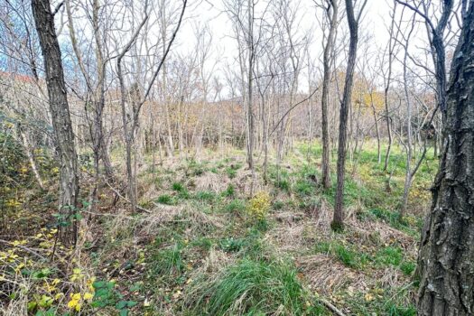 1733228188 img 20241203 wa0007