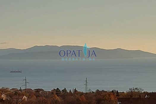 1734776561 img 20241219 104950