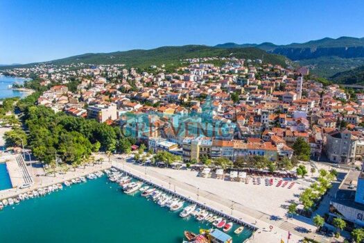 1735482398 22222222222222