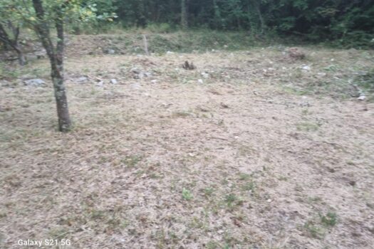 1736631662 img 20250111 wa0036