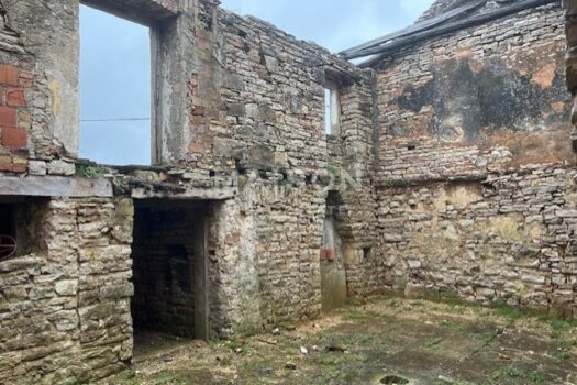 1736854202 thumbnail image0