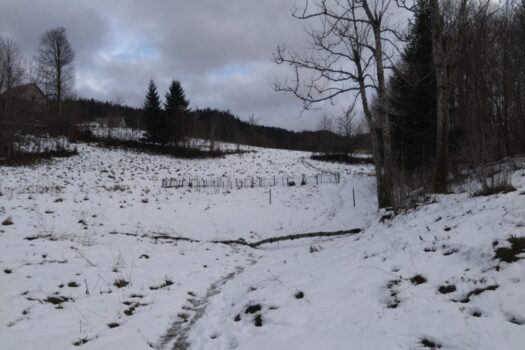 1738783028 whatsapp image 2024 11 24 at 15