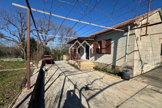 1740396232 whatsapp image 2025 02 24 at 11