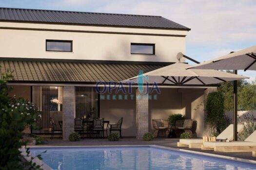 1740478407 mit pool mario12