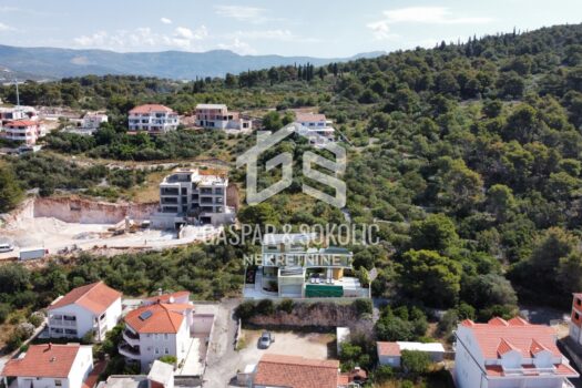 1740895383 1981736431 259133 0