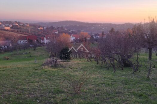 1741202315 20250305 173315