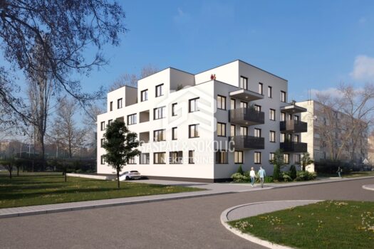 1741555546 dubrava 1 1030x773 1