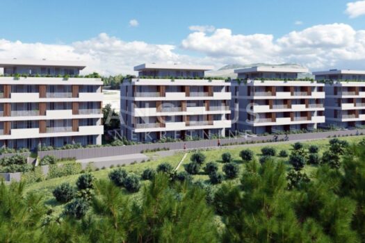 1742990837 img 8502 6