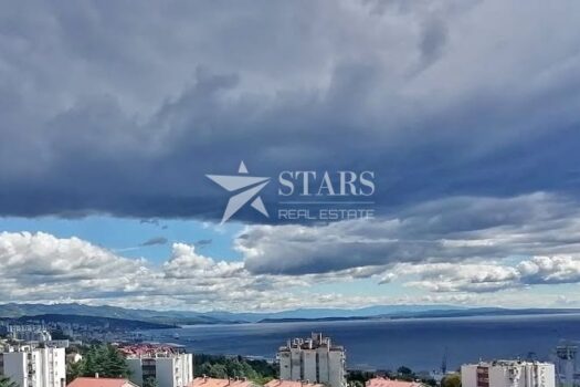 1743593337 481247654 10231044766996262 4191467908281897471 n