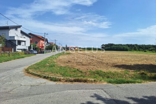 1743948331 img 20241117 wa0012