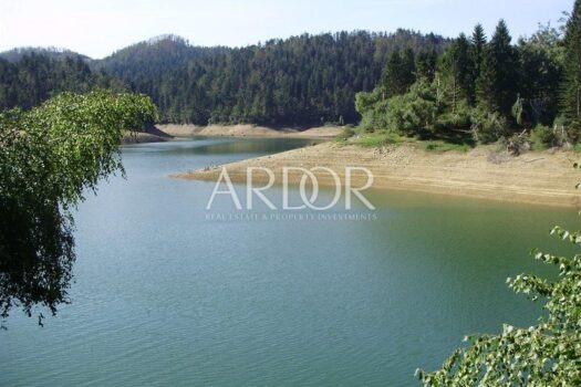 1745925653 suma uz jezero lokve atraktivno 8852