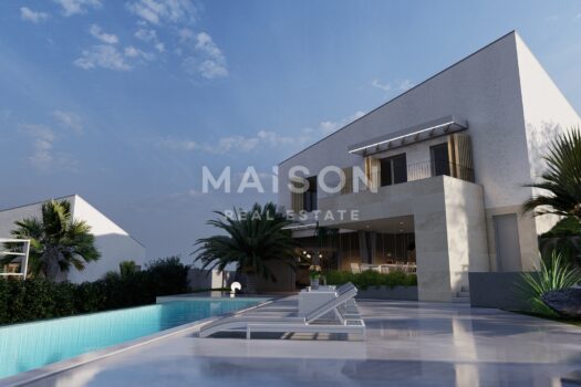 1747931741 kalvisio3d sanvito1 18 photo