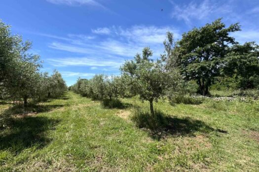 1748512947 1000033596