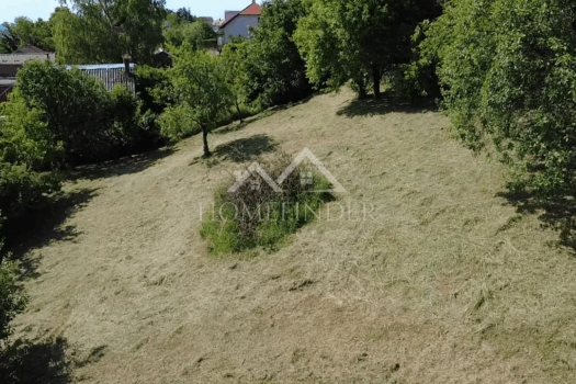 1748977552 2025 06 03 10 06 02 394