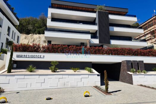 1749140770 20250319 110237