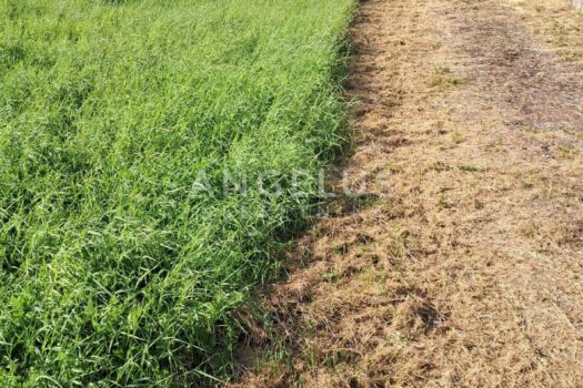 1749377473 img 20250607 wa0009