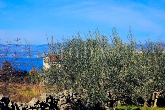 1749887130 1828000450 476235 0