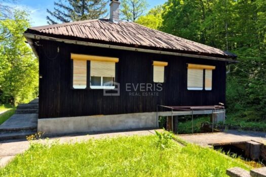 1750009947 prodaja kuce zemljista jedinstvenoj lokaciji prirodi plaski slika 250396085