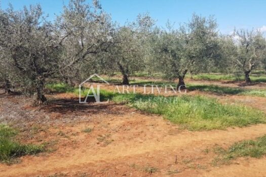 1750158610 slika 9 1