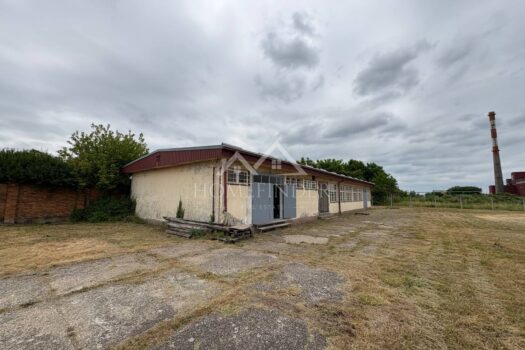 1750236869 photo 2025 06 18 10 22 52