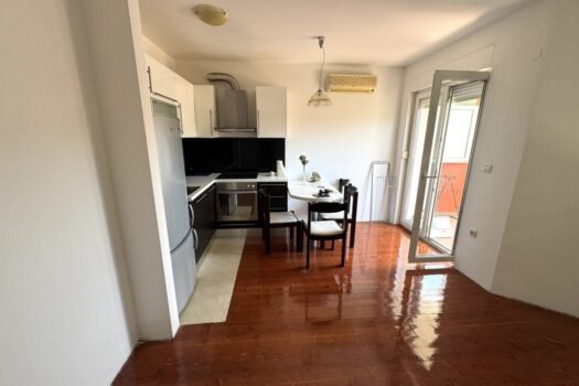 1750404900 1000036681