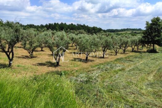 1751276509 612dd7c0 9a4e 4592 8729 51177a085e03