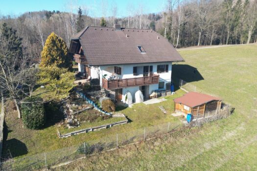 20250129_134329294_iOS